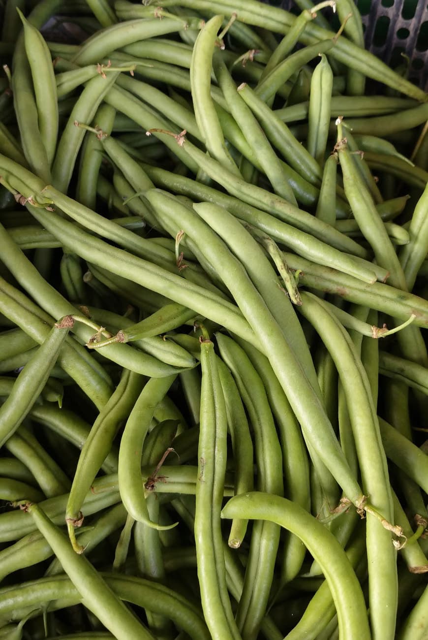 French Beans