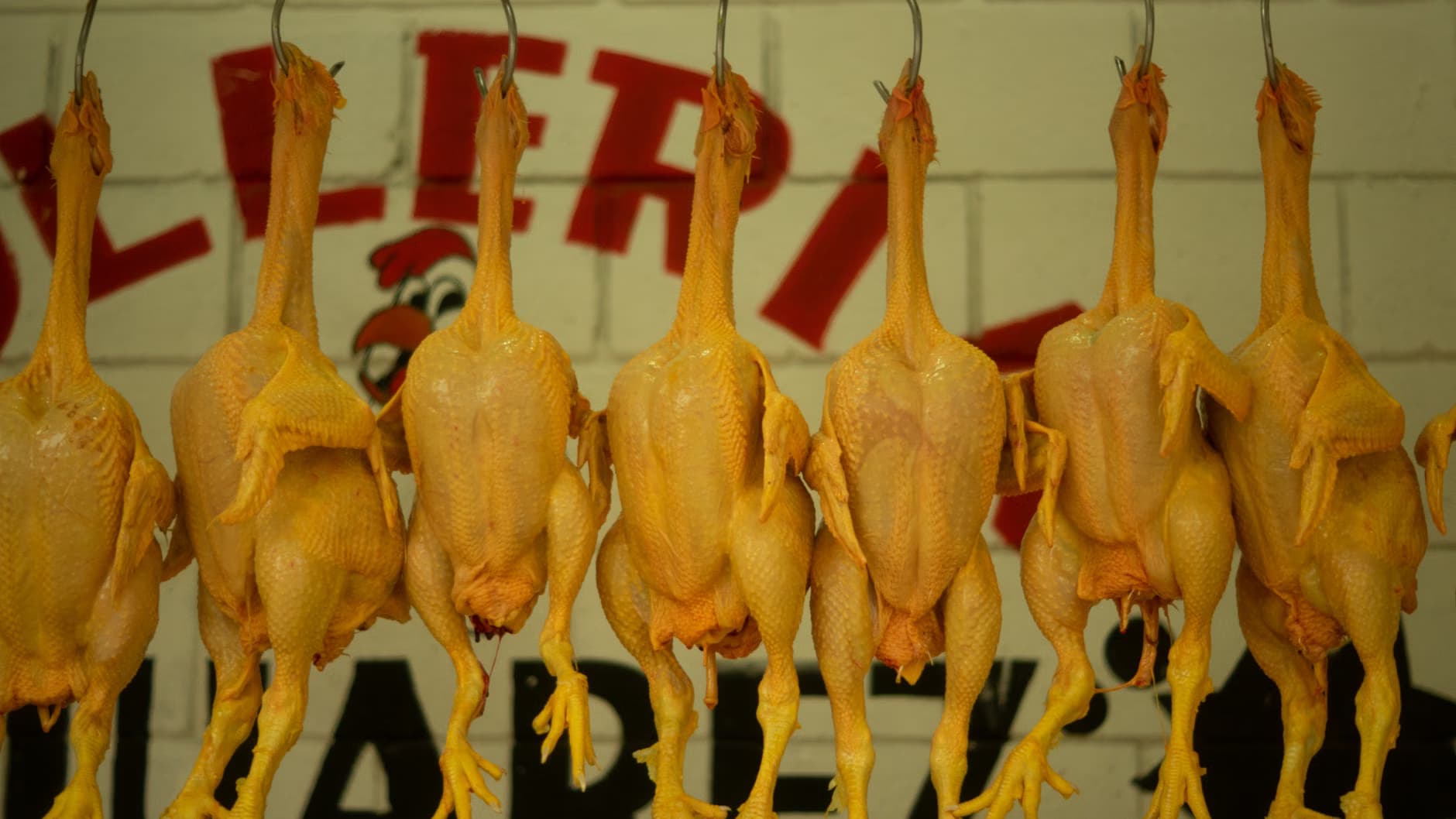 Chicken Kalmi