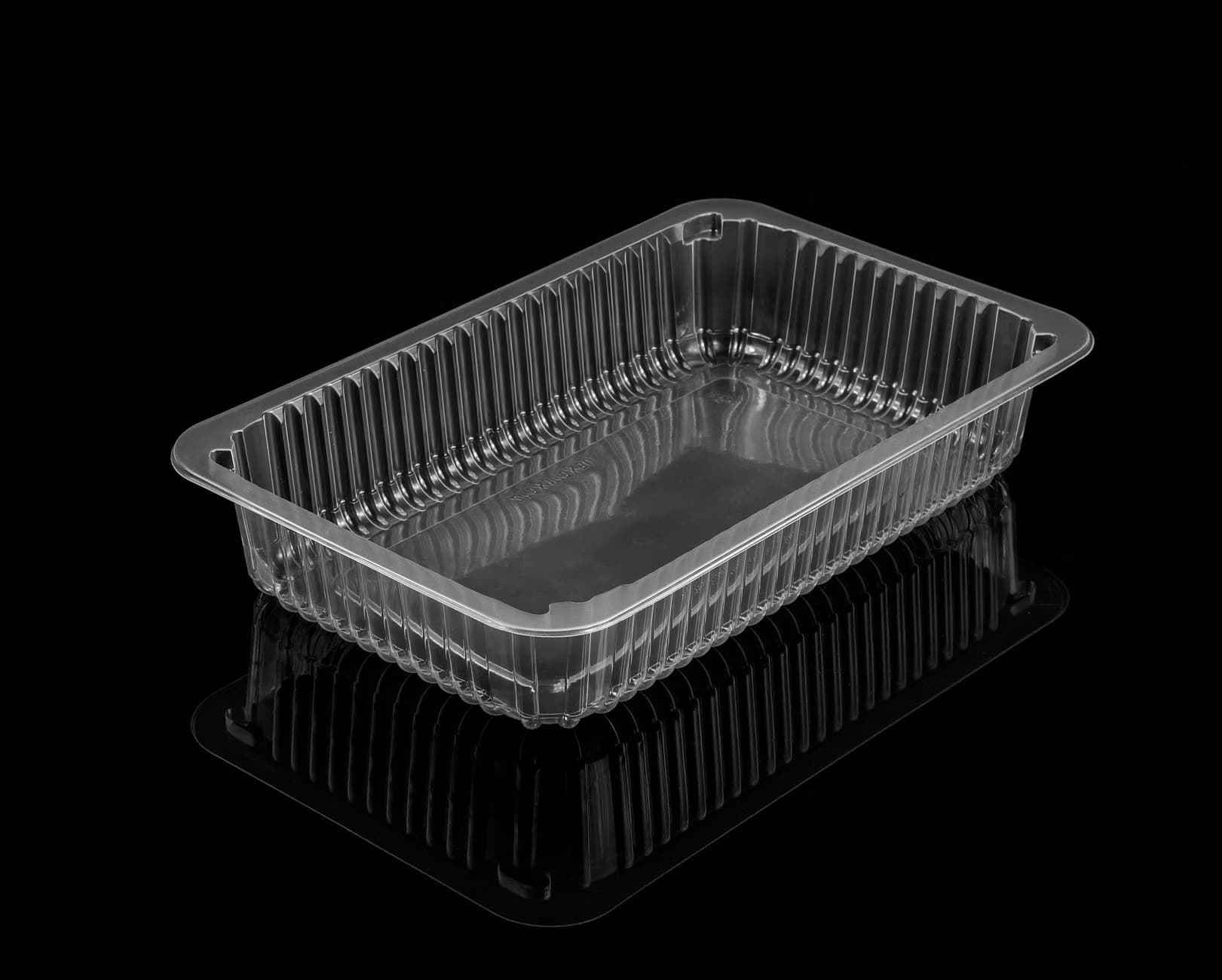 Disposable Tray