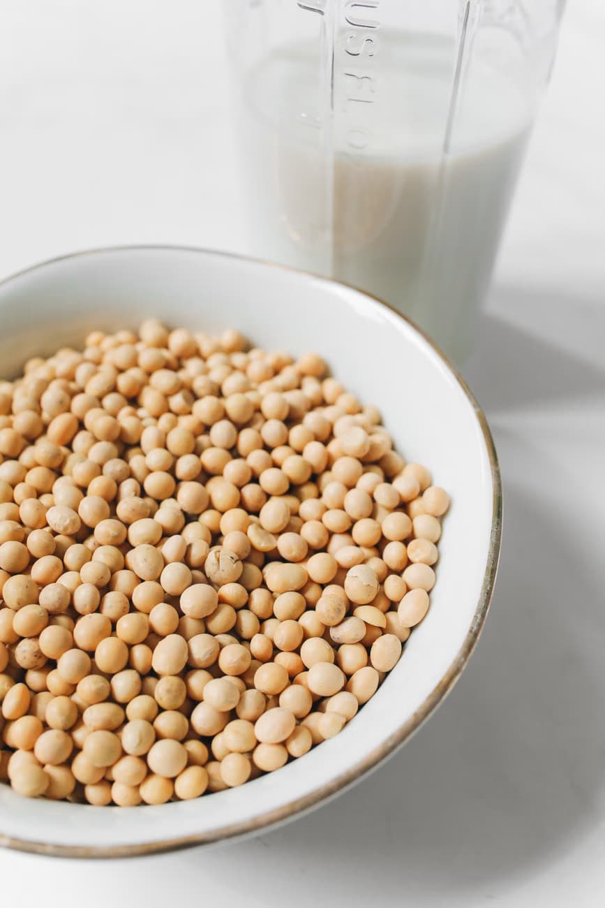 Soya Bean
