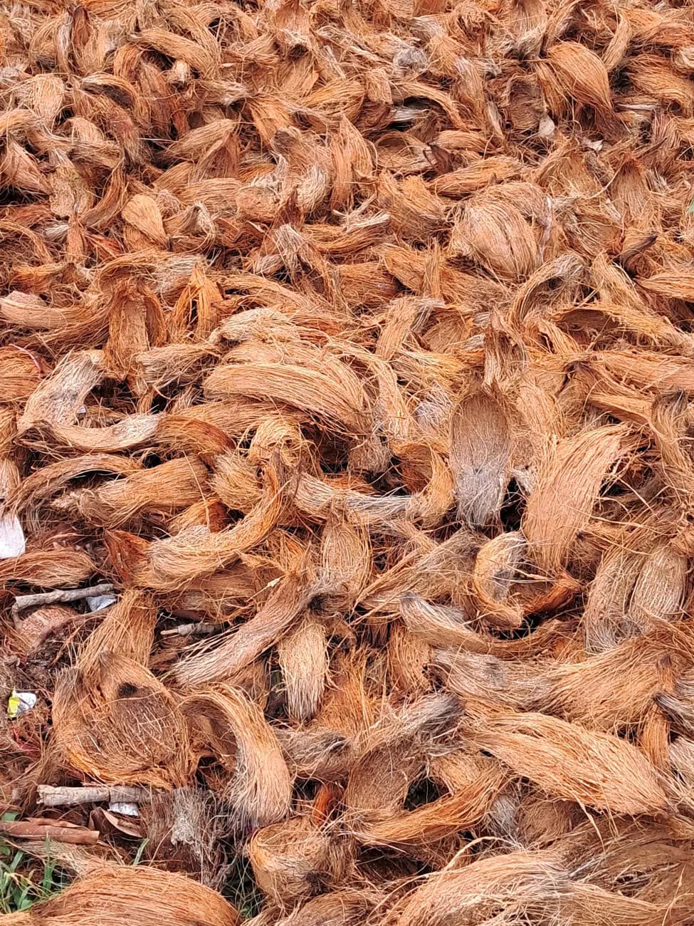 coir fiber
