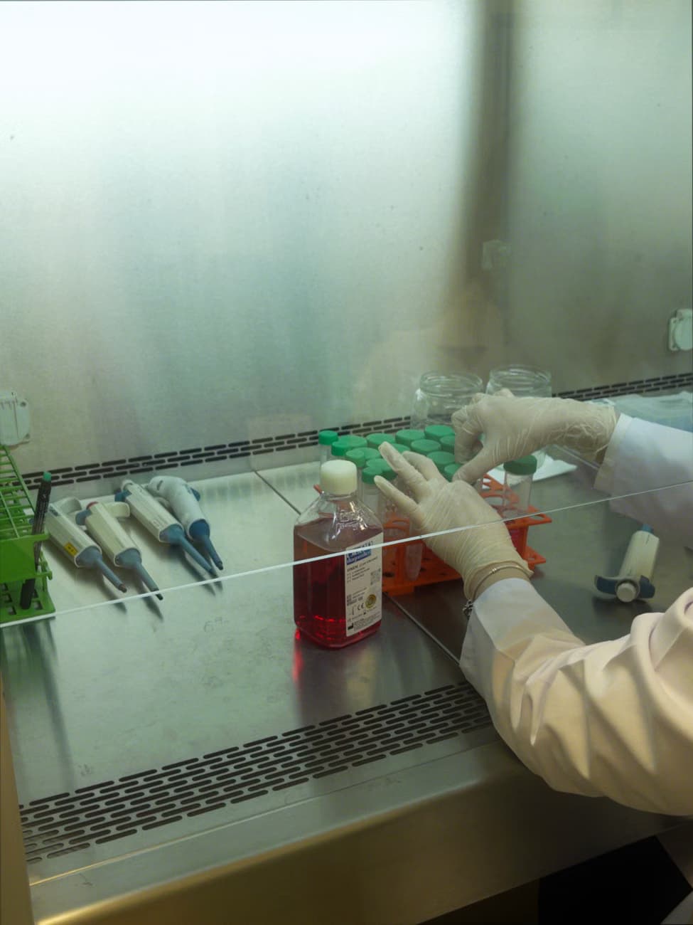 Biosafety Cabinet