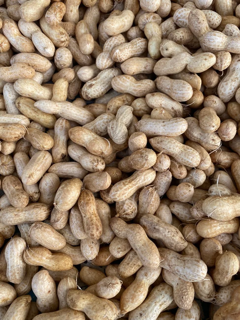 Whole Groundnut