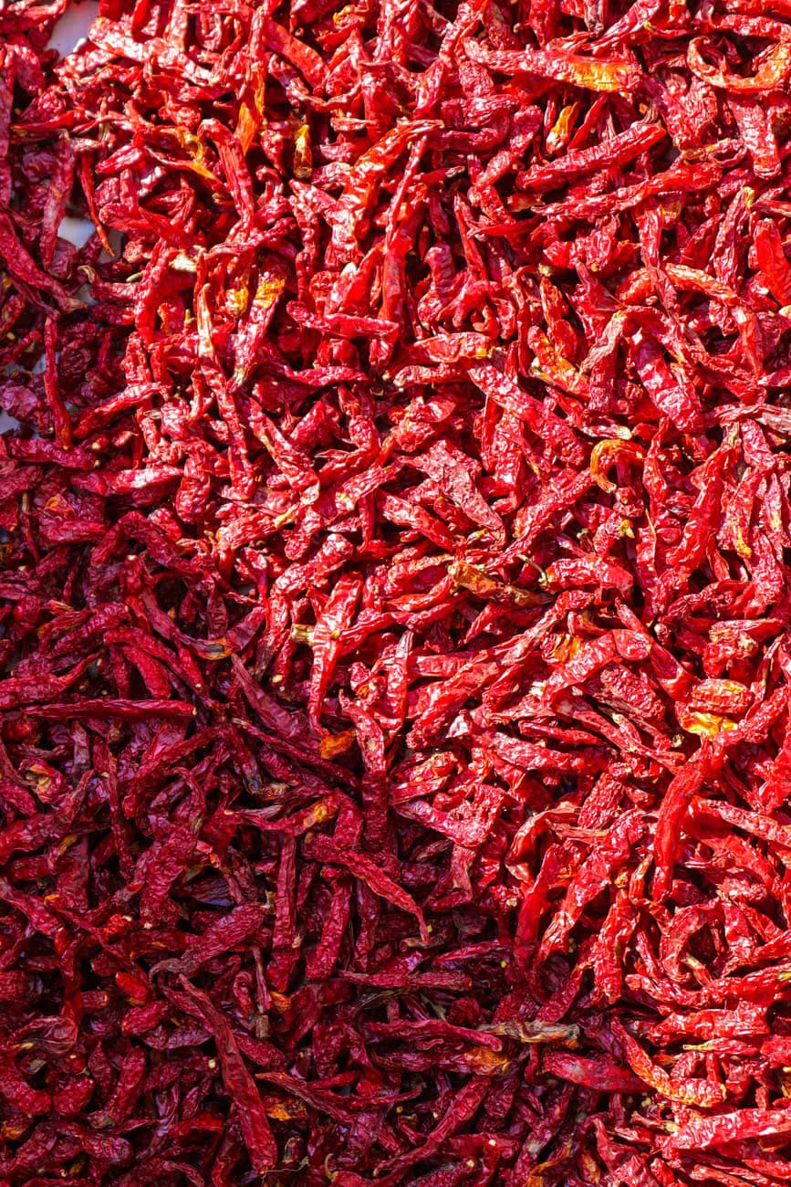 Dry Red Chilli of Teja/S17, Sannam/S4