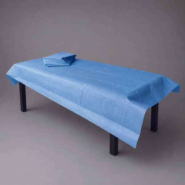 DISPOSABLE PLAIN SHEET