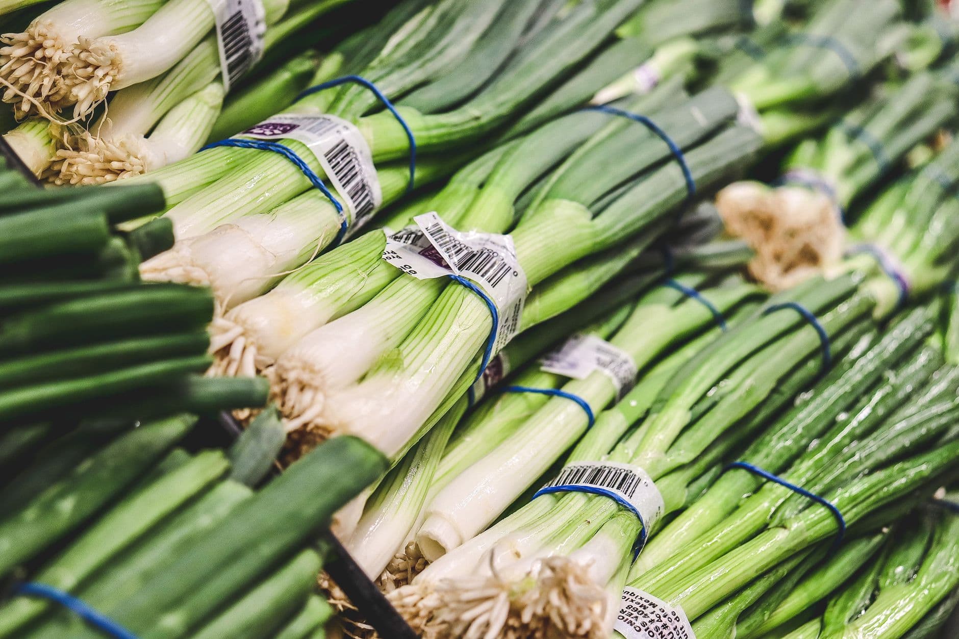 Fresh Spring Onion