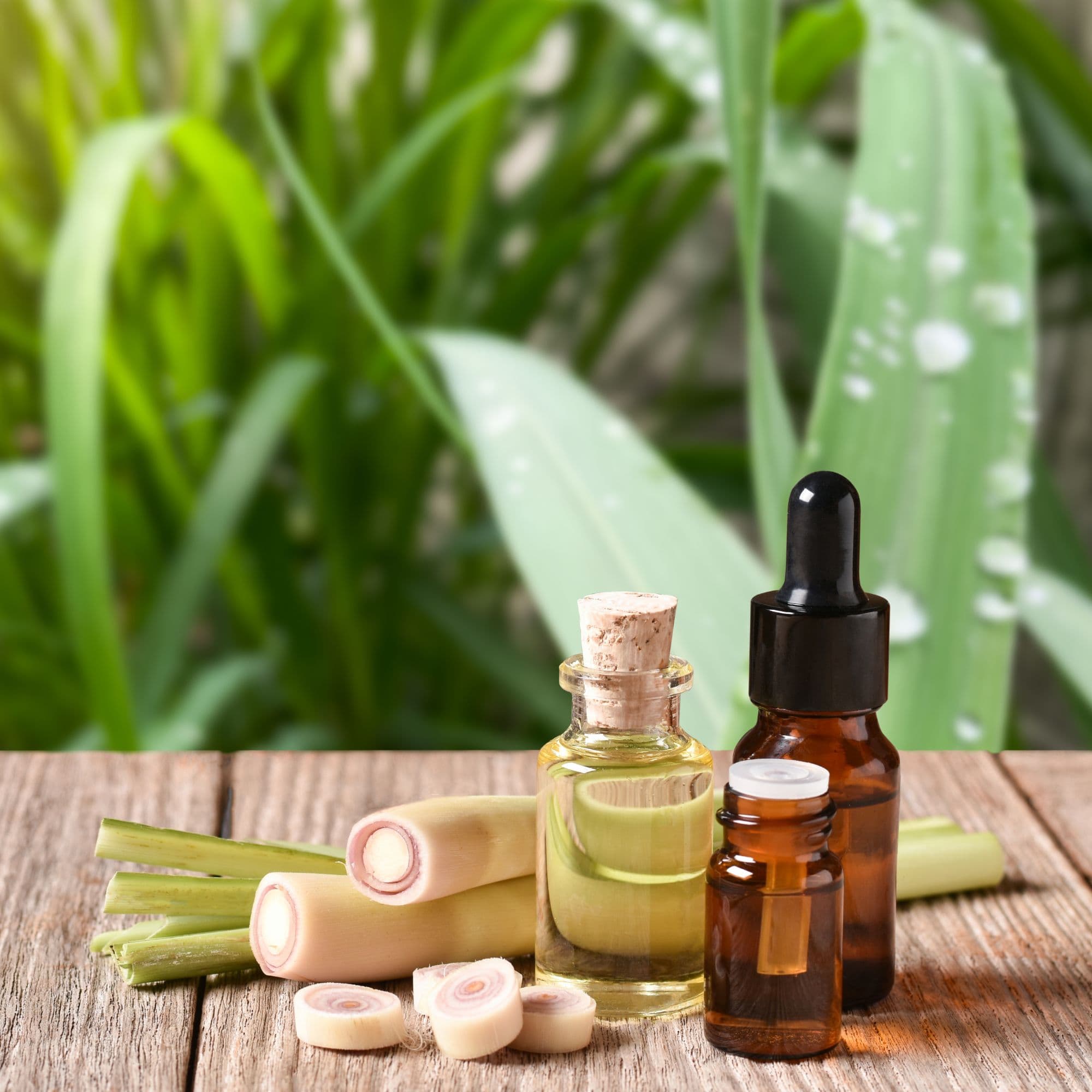 Lemongrass Oil