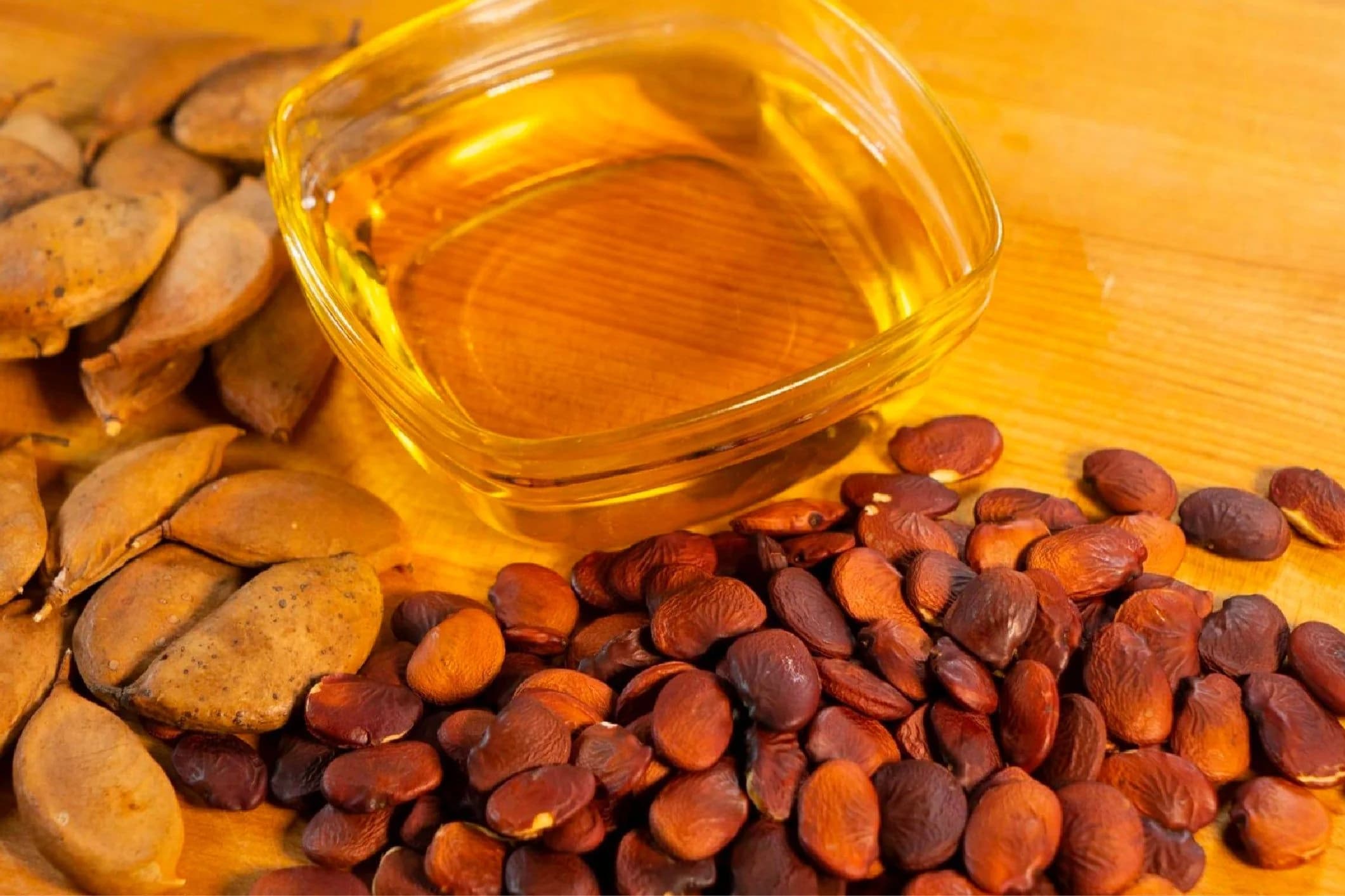 Karanja Oil – Soft-Gels