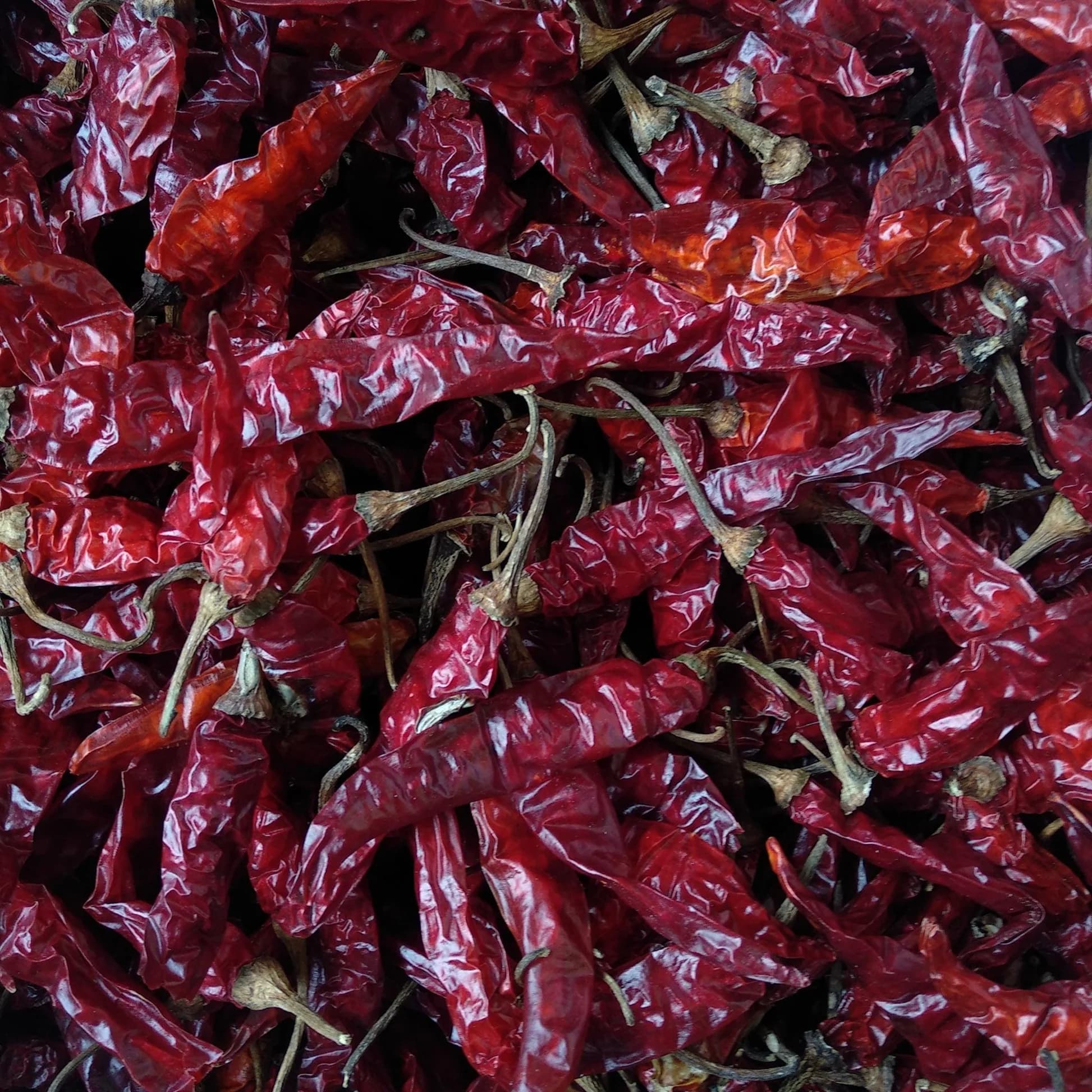 Dry Red Chilli