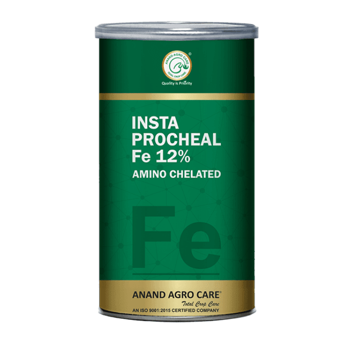 Insta Procheal Ferrous