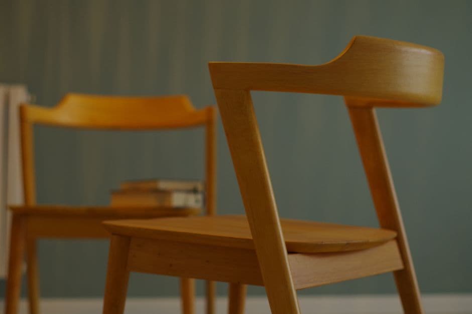 Ergonomic Wooden Dining Accent Chair