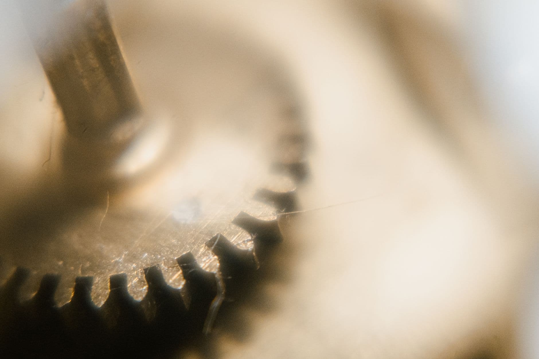 Industrial Spur Gear and Pinion Assembly
