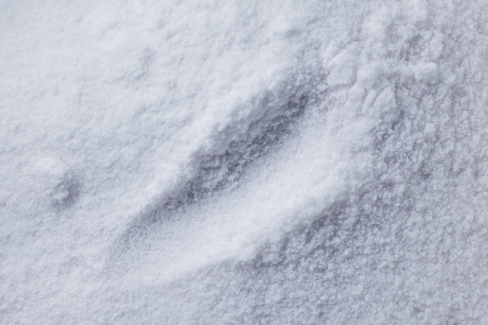 Sorbitol Powder