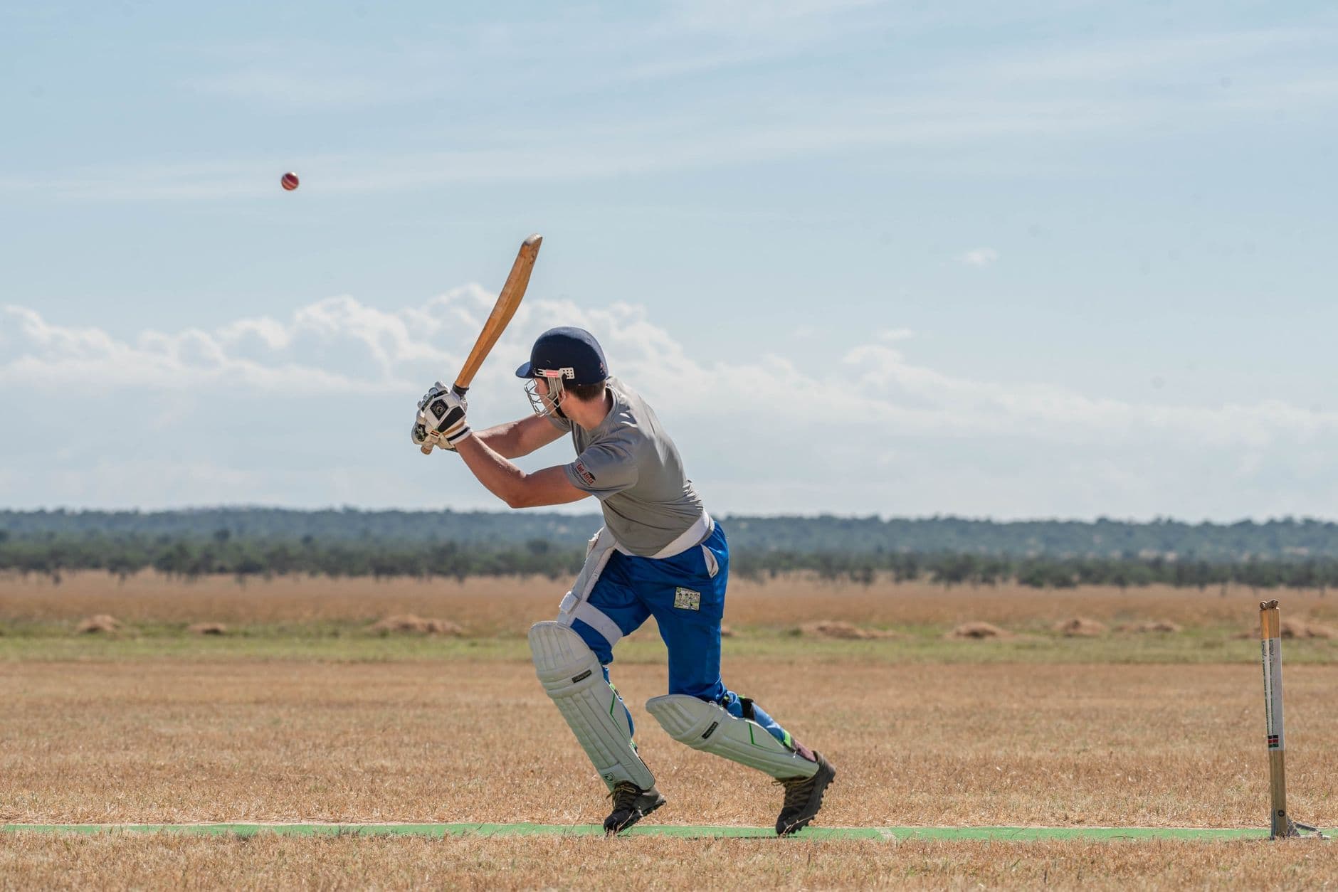 Cricket Training Equipment