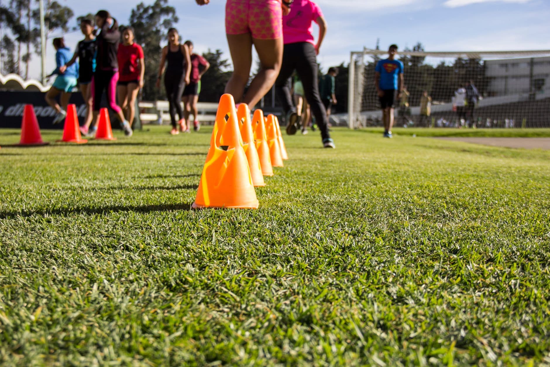 Athletic Agility Equipment
