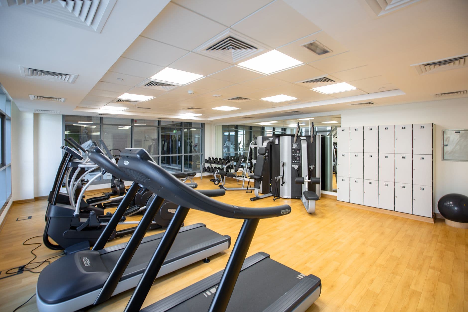 Gym Equipment