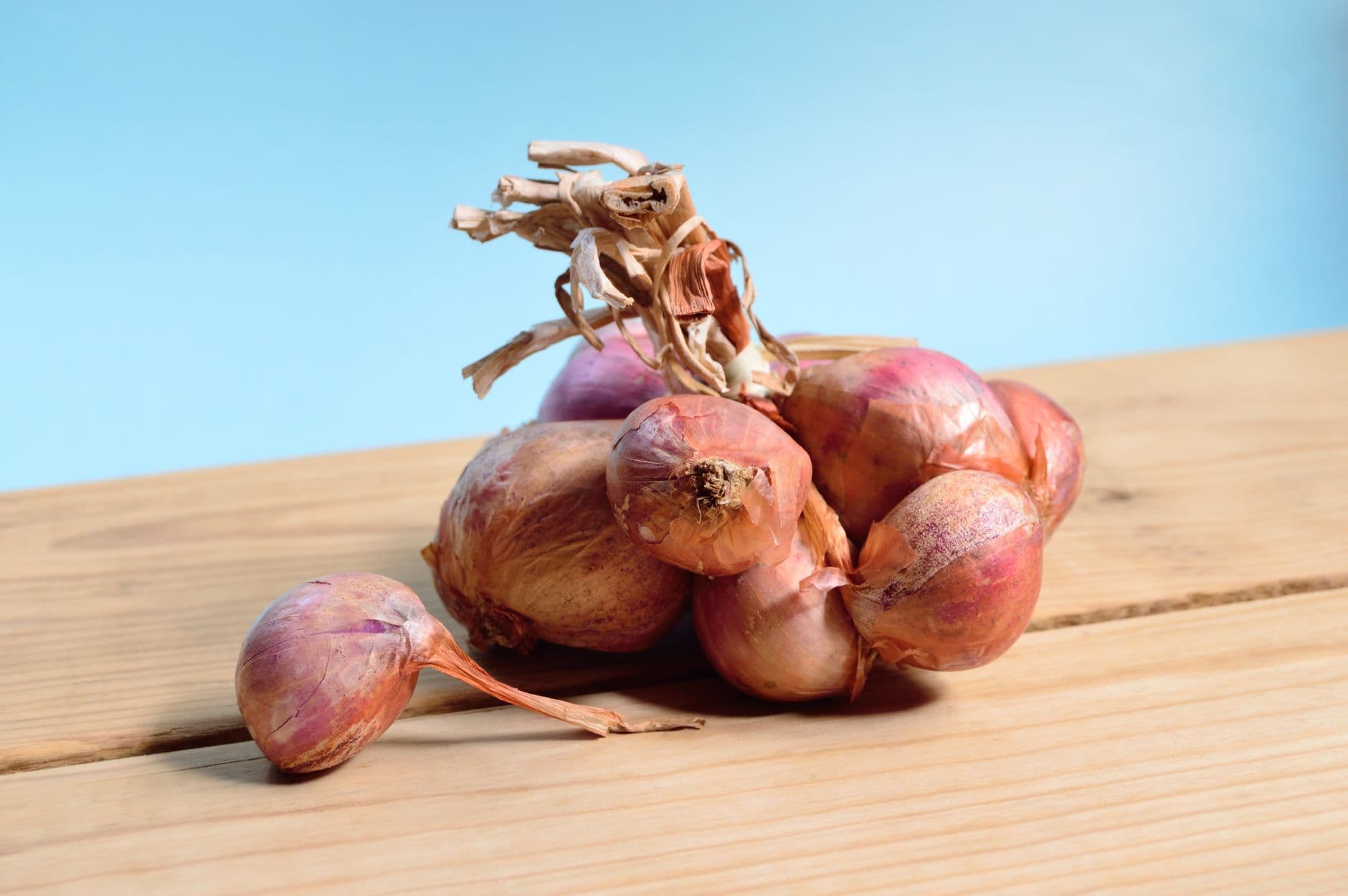 onion