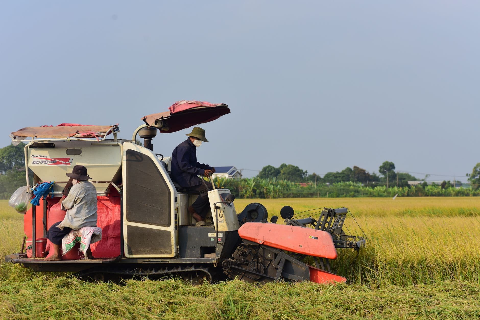 Power Tiller Operated Thresher