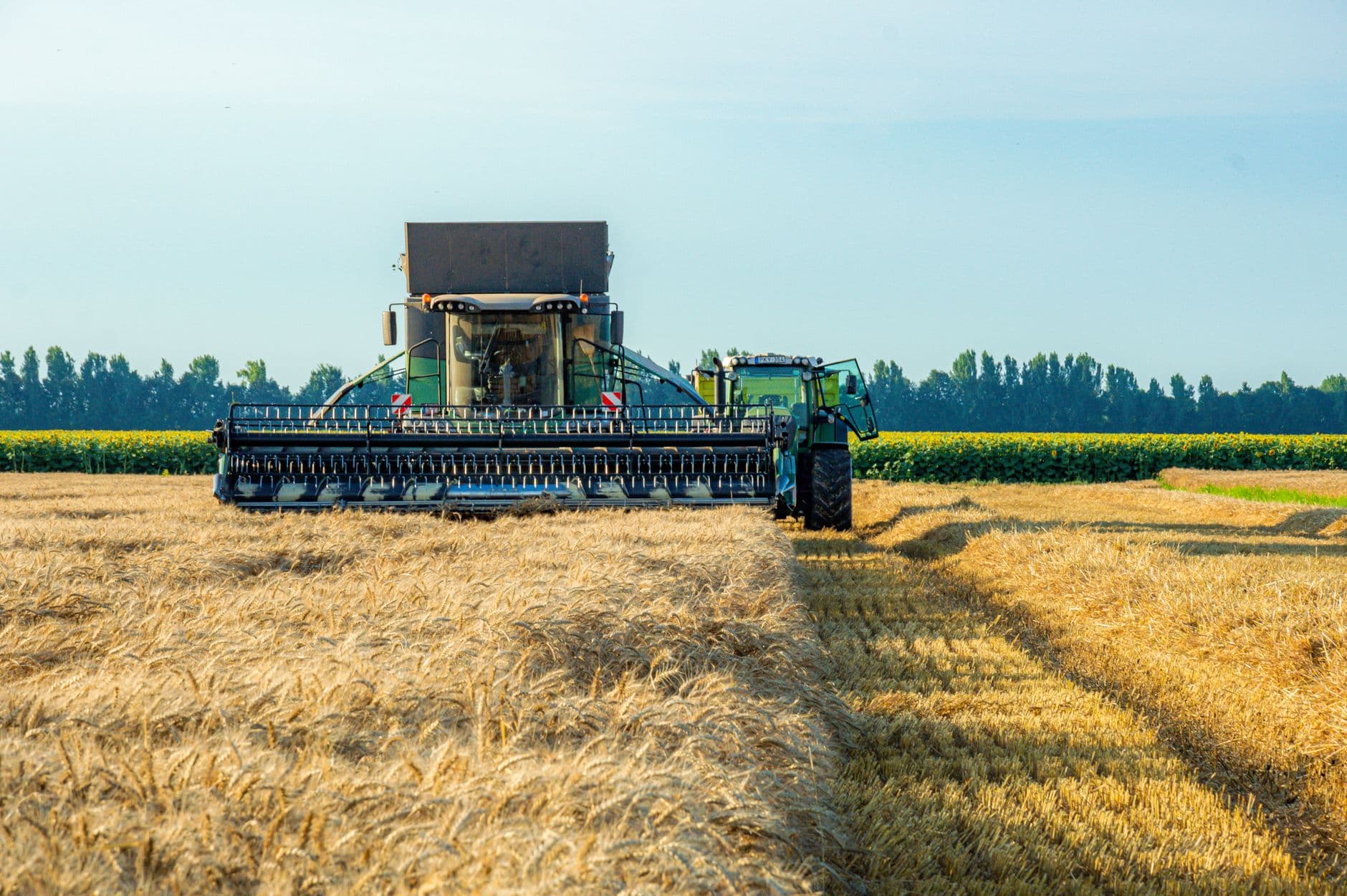 Agricultural Harvester