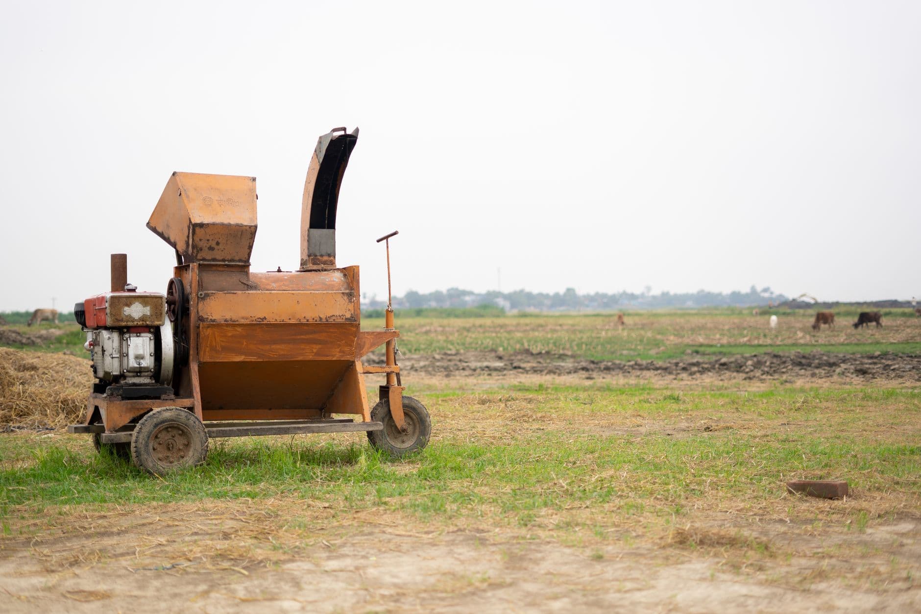 Paddy Thresher
