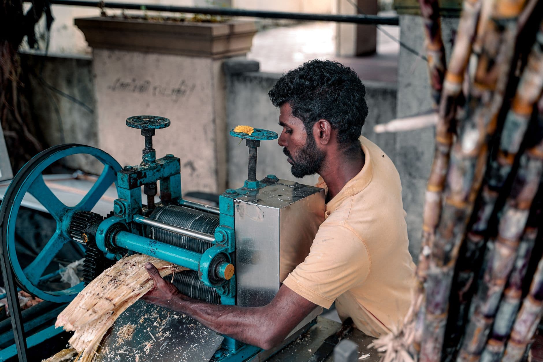 Water Hyacinth Fiber Extraction Machine