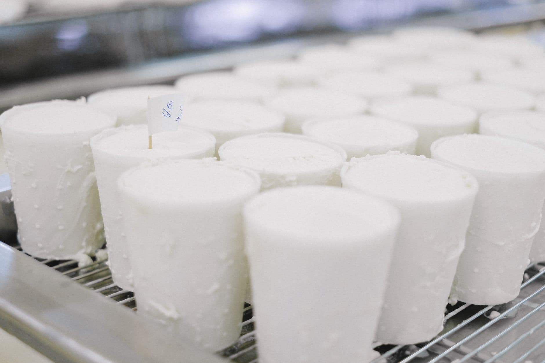 Set Curd