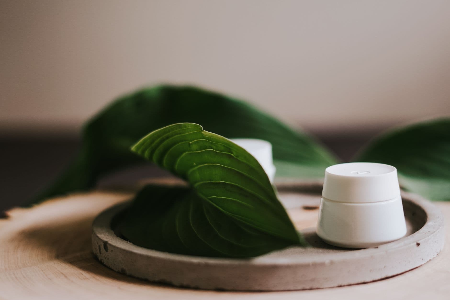 Areca Leaf Serving Tray