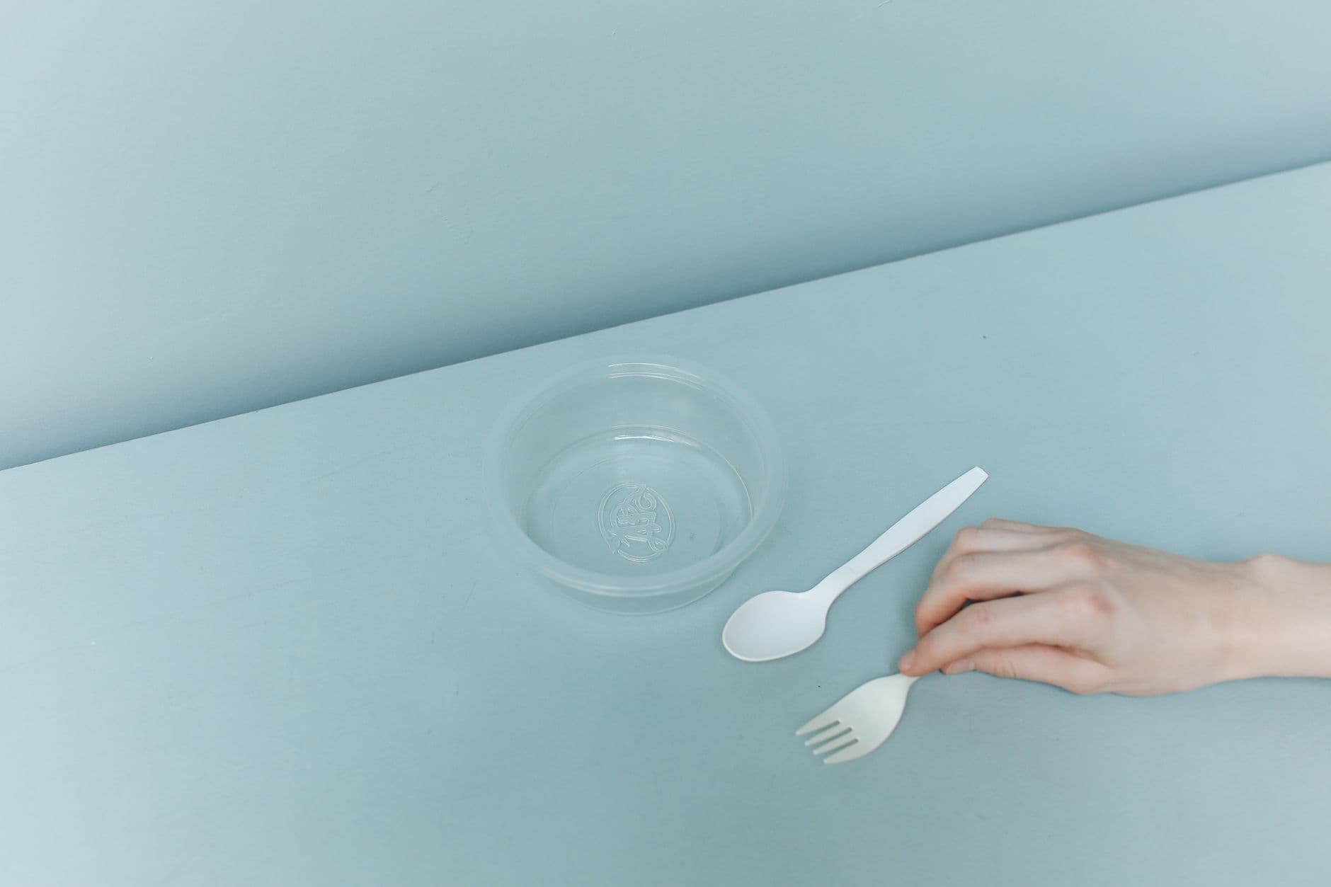 Plastic Disposable Bowl