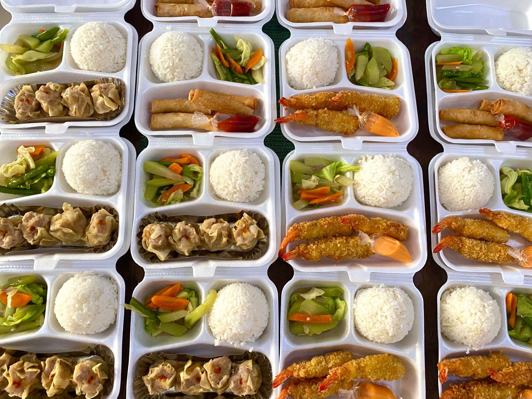 Disposable Bagasse Meal Tray