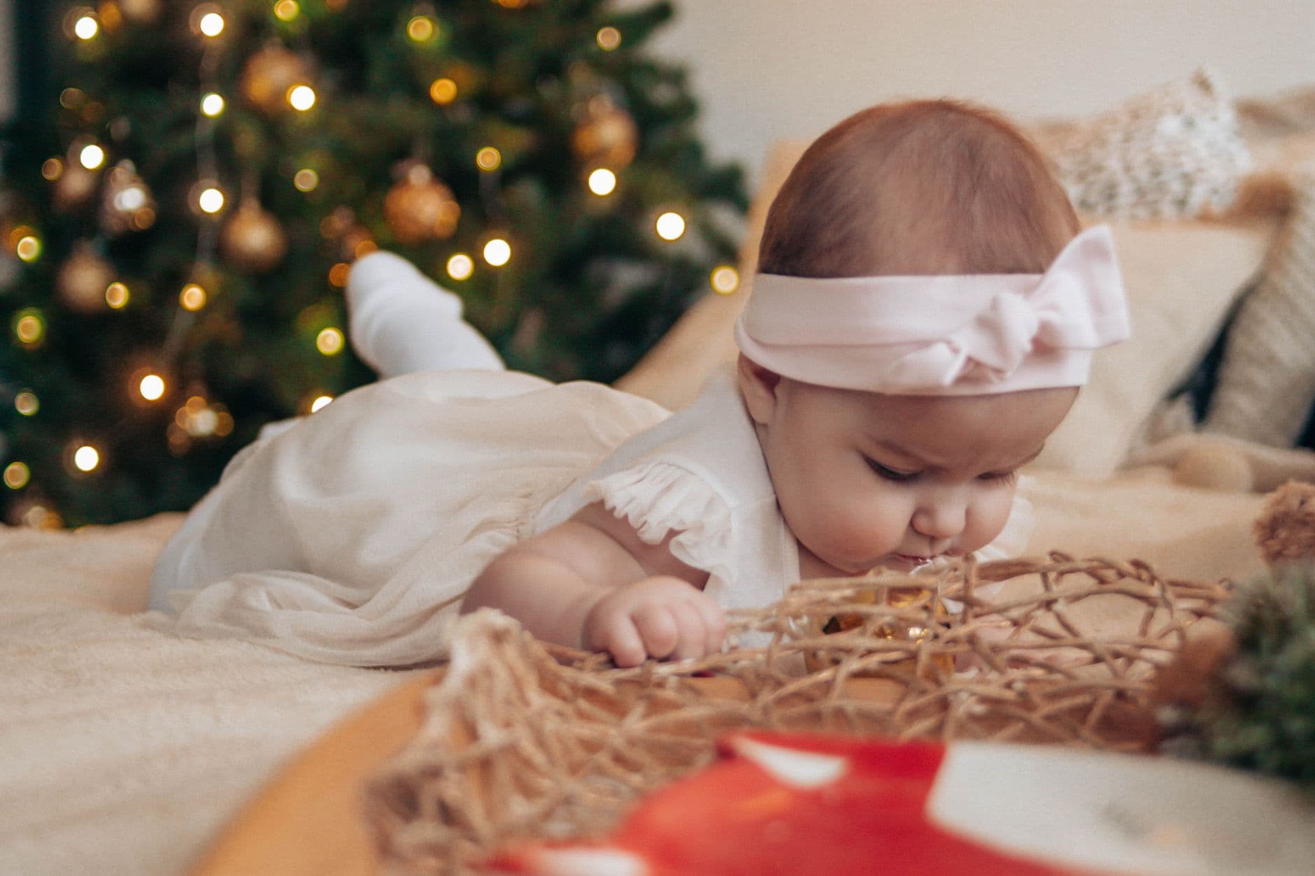 Baby Festive Dresses