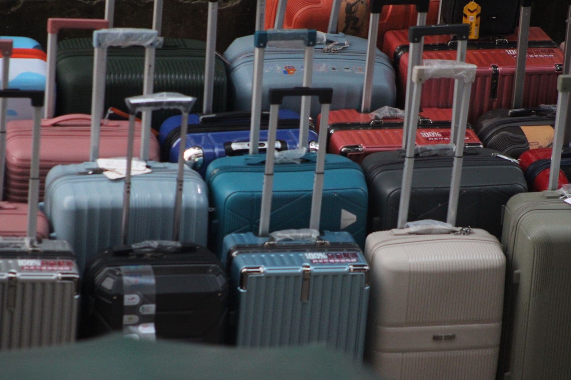 Safari Hard-Shell Suitcase